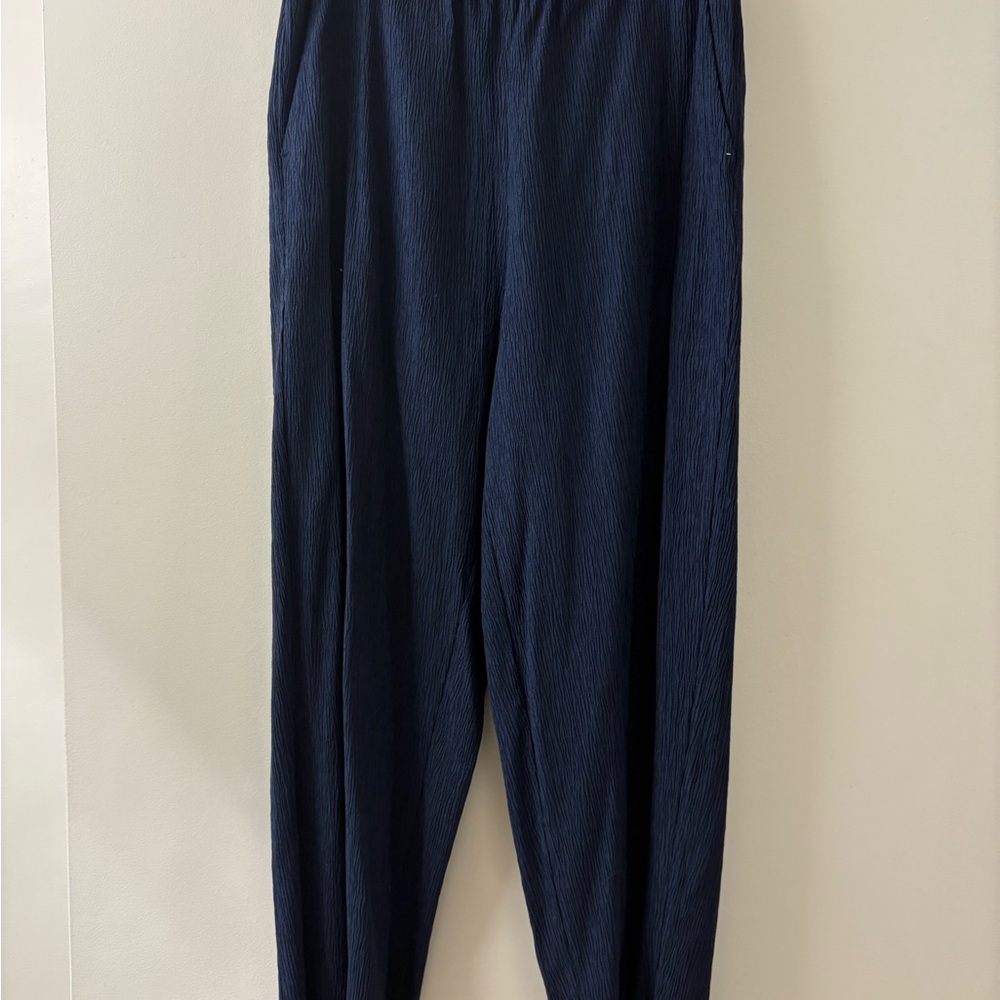Everlane Navy Pants